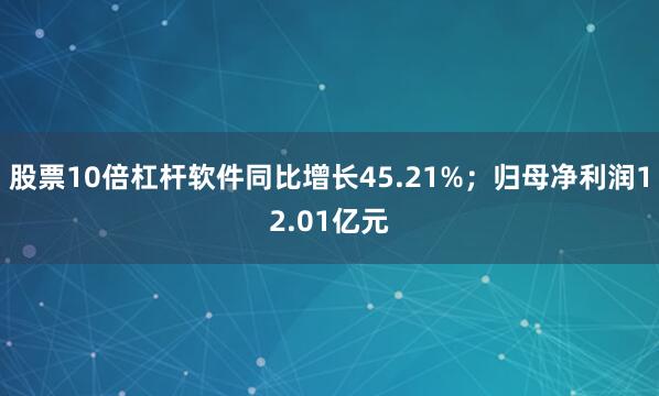 股票10倍杠杆软件同比增长45.21%；归母净利润12.01亿元