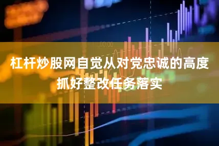 杠杆炒股网自觉从对党忠诚的高度抓好整改任务落实