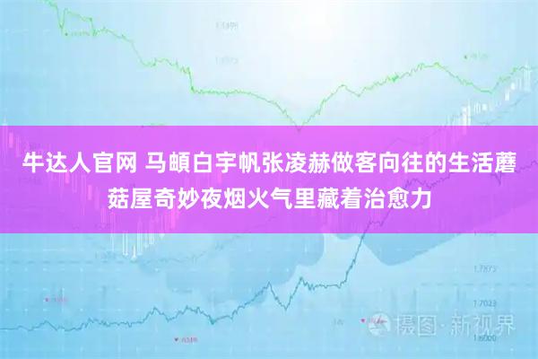 牛达人官网 马頔白宇帆张凌赫做客向往的生活蘑菇屋奇妙夜烟火气里藏着治愈力