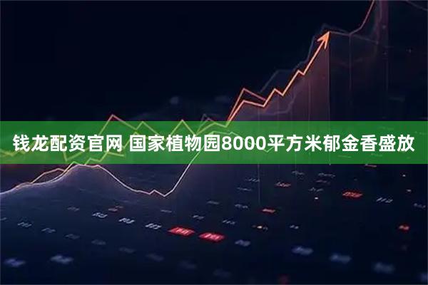 钱龙配资官网 国家植物园8000平方米郁金香盛放